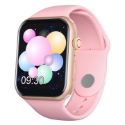 bandrate-smart-brsz2020gp