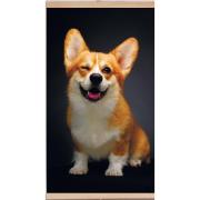 totmart-korgi-nastennyi-60h105-sm