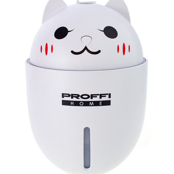 proffi-ph9321-3-v-1-1