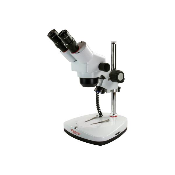 mikromed-ms-2-zoom-var-1cr-10563