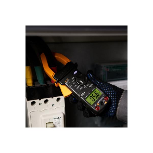 mastech-ms2001c-13-1310-4