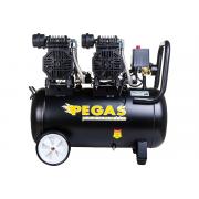 pegas-pneumatic-pg-2800-2-prof-seriya-2-8kvt-365-l-min-50l-6621