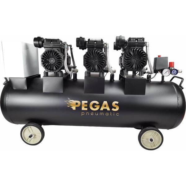 pegas-pneumatic-pg-4200-120l-460-l-min-4-2kvt-bezmaslyanyj-6623