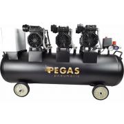 pegas-pneumatic-pg-4200-120l-460-l-min-4-2kvt-bezmaslyanyj-6623