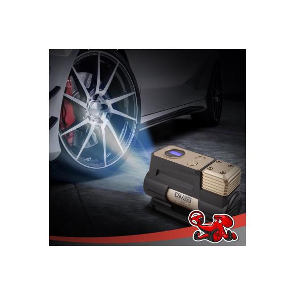 dsv-smart-s-fonarem-45-l-min-12v-s-tsifr-manom-sumkoj-224000-2