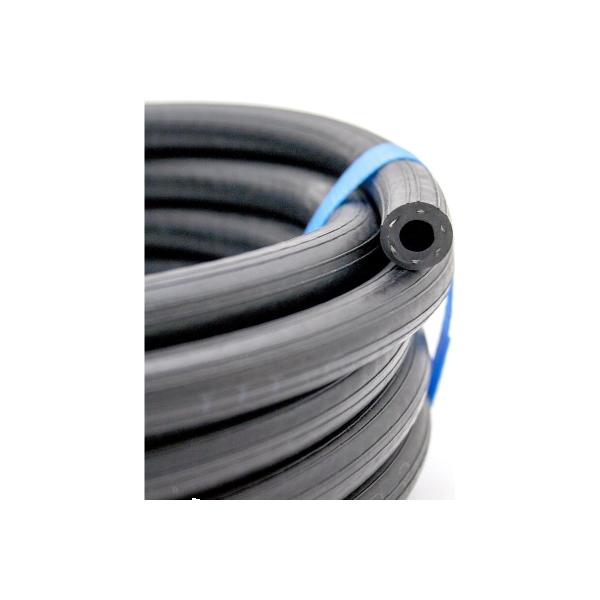 dragonkit-00-00002682-6