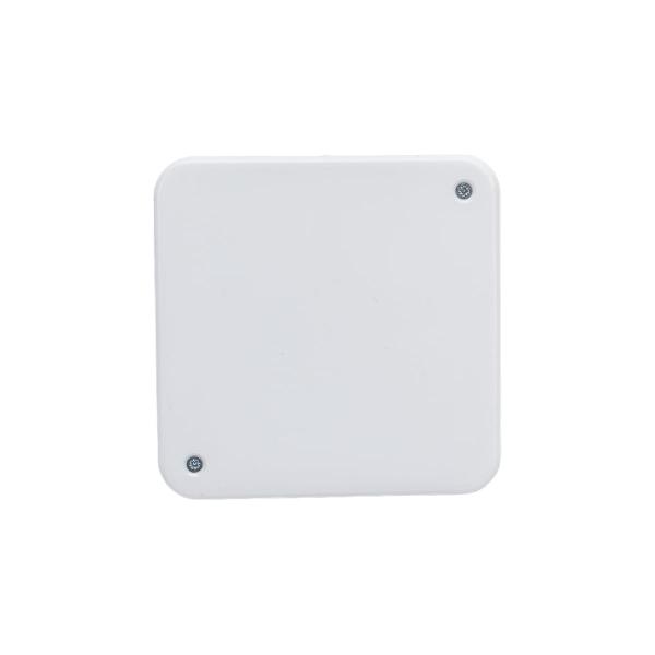 ruvinil-sp-gsk-100h100h45mm-ip30-10161-2