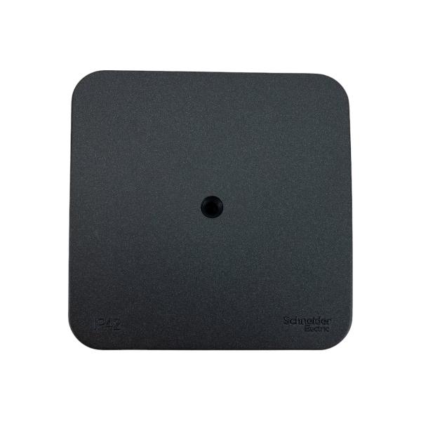 schneider-electric-blanca-o-u-ip42-antratsit-blnrk000016