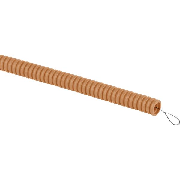 69026b2.jpg