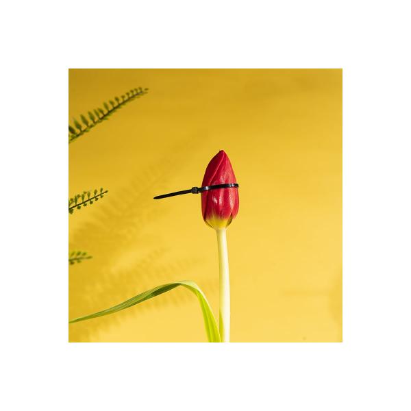 rexant-nylon-120x2-5-mm-100-sht-blackyj-07-0121-3