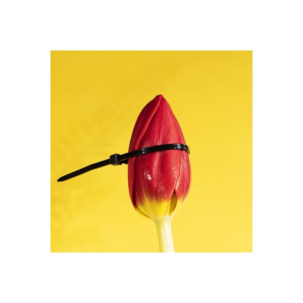 rexant-nylon-120x2-5-mm-100-sht-blackyj-07-0121-4