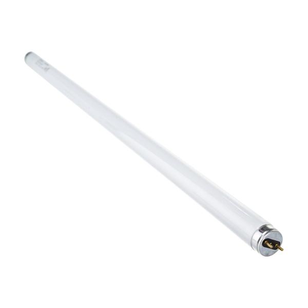 osram-l-18w-765-25x1-fed-4008321959669