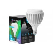 kosmos-premium-hw250w-220v-e40-6500k-khwled250we4065