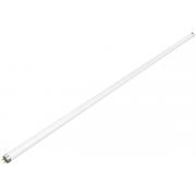 gauss-elementary-t8-glass-1200mm-g13-20w-6500k-1-25-sq93039