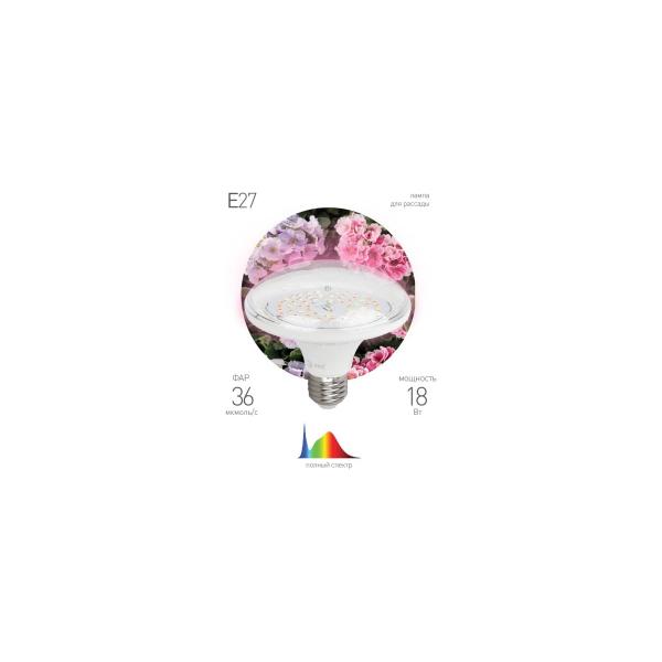 70785b4.jpg