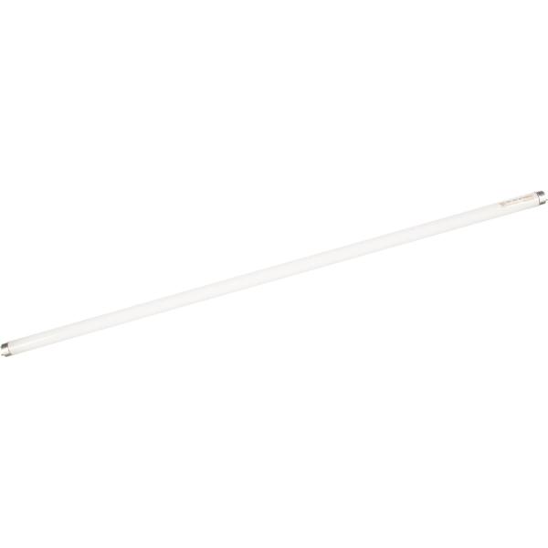 70820b0.jpg