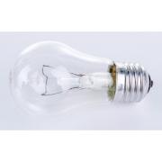 era-a50-grusha-60vt-230v-e27-v-gofre-100-3600-b0039118