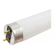 osram-l-36w-830-25x1-4058075692954