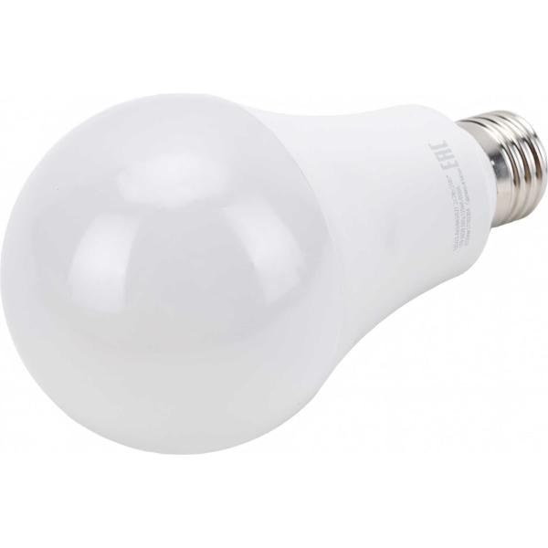 camelion-led25-a65-845-e27-25-vt-220-v-13572-4