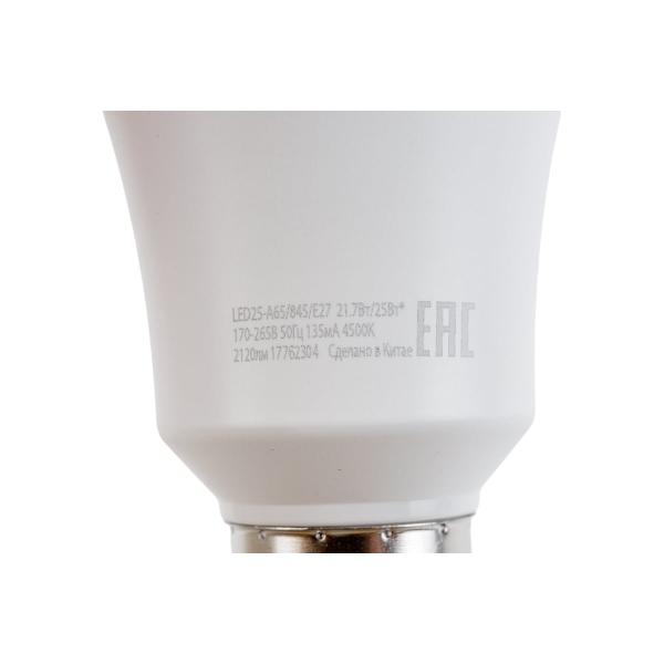 camelion-led25-a65-845-e27-25-vt-220-v-13572-6