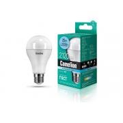 camelion-led25-a65-845-e27-25-vt-220-v-13572