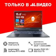 Ноутбук игровой Thunderobot 911 X Wild/15.6"/Intel Core i5 13500H/16/512/RTX 4050/NoOS/Grey