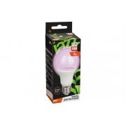 jazzway-ppg-a60-agro-9w-clear-e27-ip20-5008946