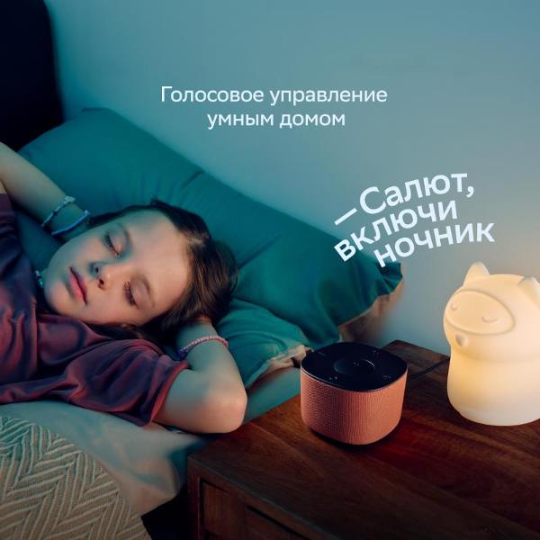 sber-sberboom-home-nebesnyi-6