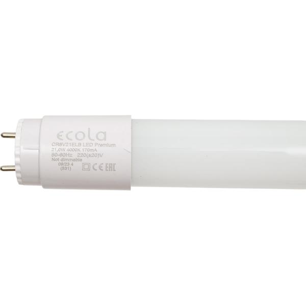 ecola-t8-premium-g13-21-0w-220v-4000k-s-povor-tsokolyami-1213x26-upak-ind-tsv-8-24-cr8v21elb
