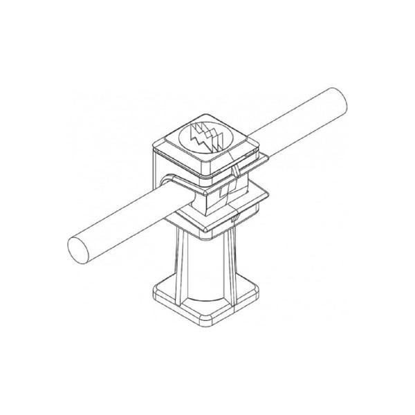 81555b2.jpg