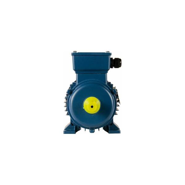 5ai-71-v2-1-1-3000-im-1081-01-01-213626-2