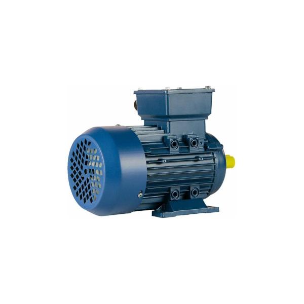 5ai-71-v2-1-1-3000-im-1081-01-01-213626-4