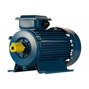 5ai-90-l4-2-2-1500-im-1081-01-01-213462