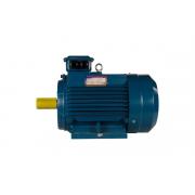 5ai-132-m2-11-3000-im-1081-01-01-213631