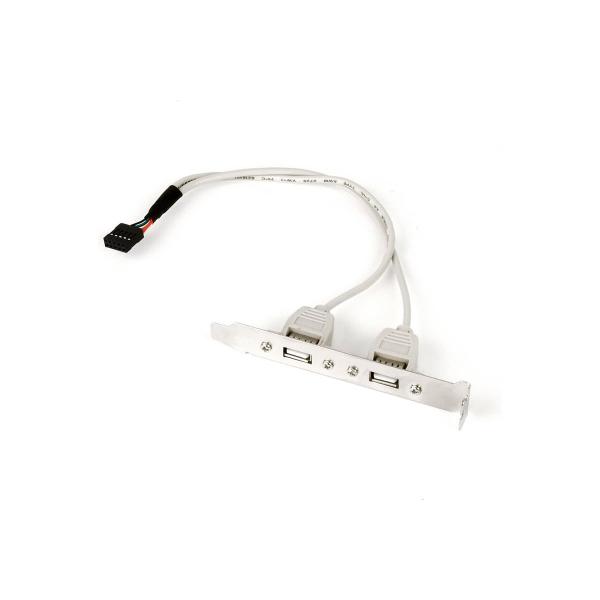 cablexpert-na-2-usb20-ccusbreceptacle-10pin