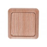 universal-olimp-sosna-5560797