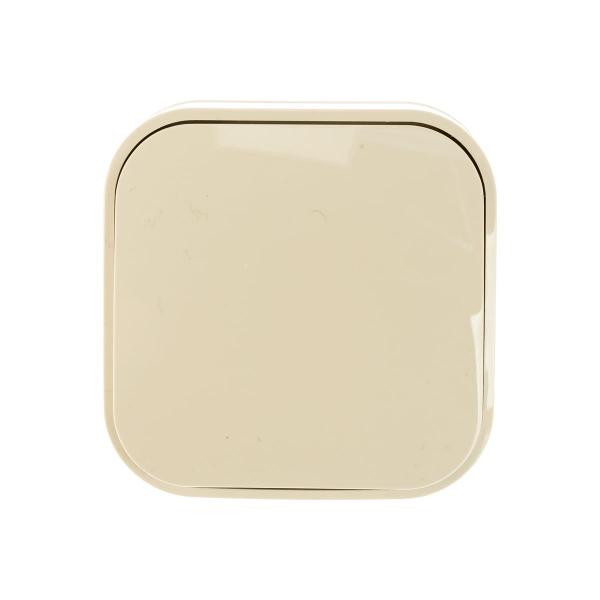 ionich-slonovaya-kost-1423