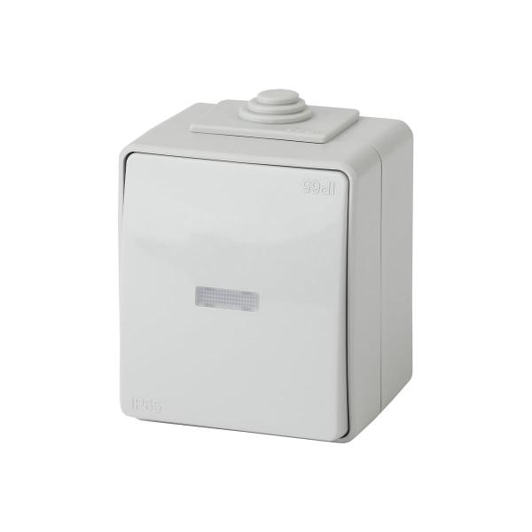 era-ekspert-11160203-ip65-10ah250v-ou-b0035974