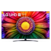 lg-55ur81006lj