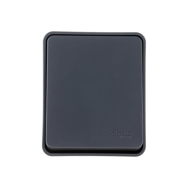 schneider-electric-atlasdesign-profi-ip54-otkrytoj-ustanovki-10-ah-antratsit-atn544011