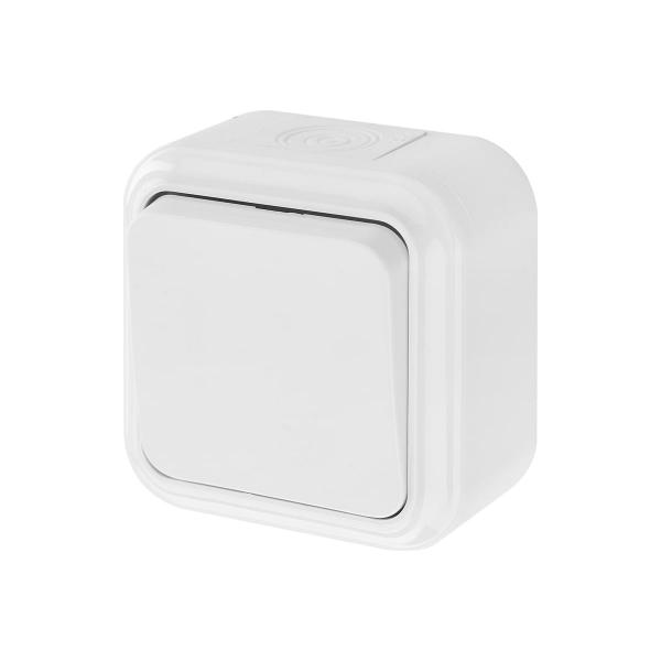 bylectrica-1-klavishnaya-otkrytaya-ustanovka-6a-ip54-seriya-praleska-akva-belyj-a16-222