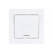 universal-brilliant-7947397