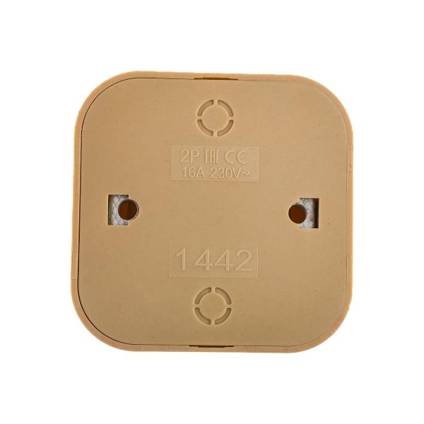 ionich-b-z-sosna-1442-3