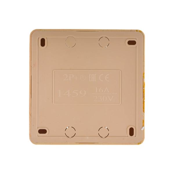 ionich-s-z-sosna-kvadrat-1459-3