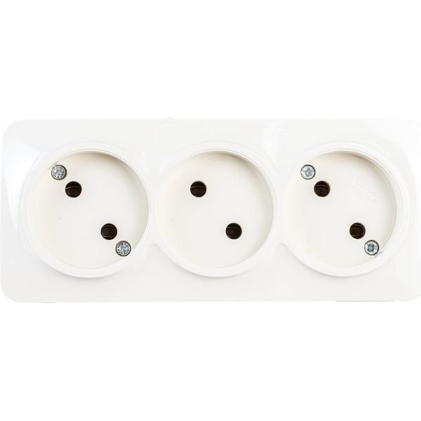 ionich-b-z-slonovaya-kost-1450