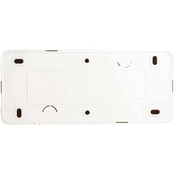 ionich-b-z-slonovaya-kost-1450-2