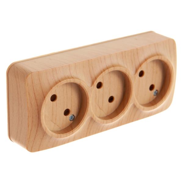 ionich-3-aya-b-z-sosna-1455