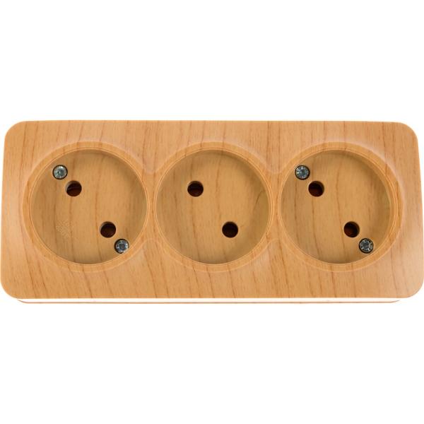 ionich-3-aya-b-z-sosna-1455-2