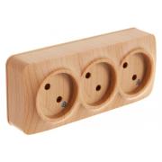 ionich-3-aya-b-z-sosna-1455