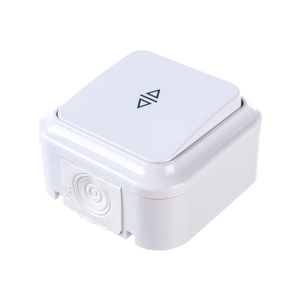 bylectrica-1-klavishnyj-otkrytaya-ustanovka-6a-perekrestnyj-ip54-seriya-praleska-akva-belyj-a6-2-10-872